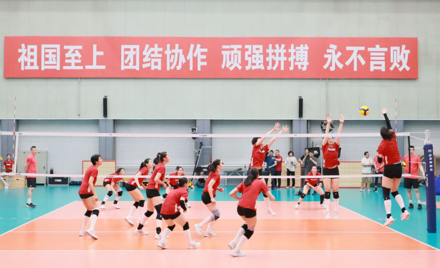 乐鱼体育网页全面介绍与使用指南
